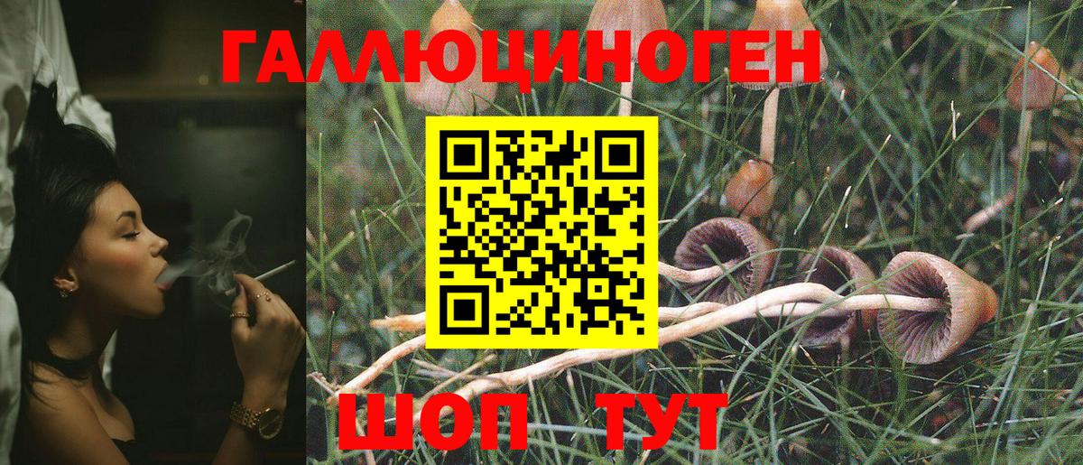Псилоцибиновые грибы ЛСД  наркотики  Вход с VPN  Калуга  Галлюциногенные грибы Psilocybe 