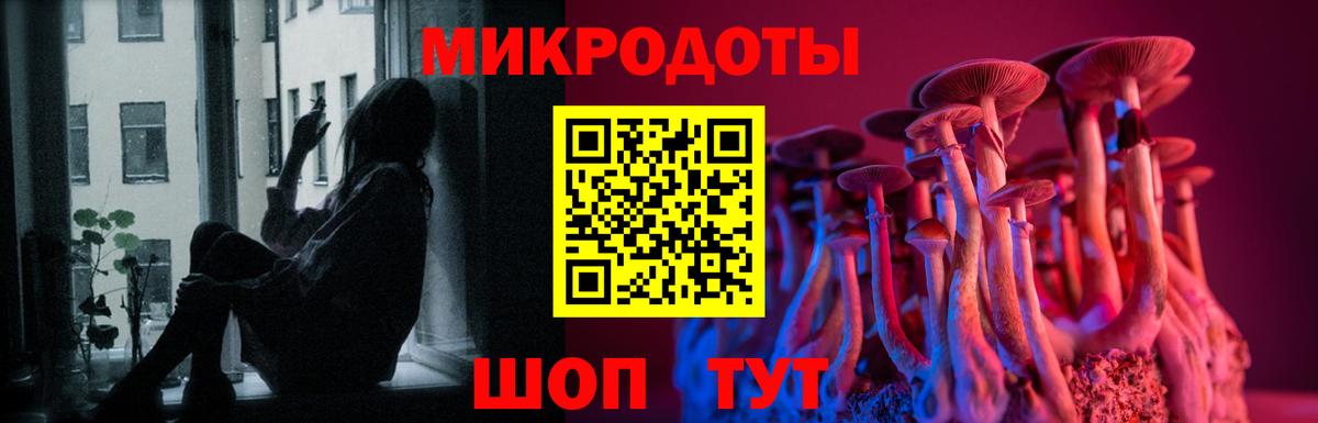 Галлюциногенные грибы Cubensis Калуга
